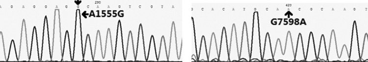 FIG. 5.