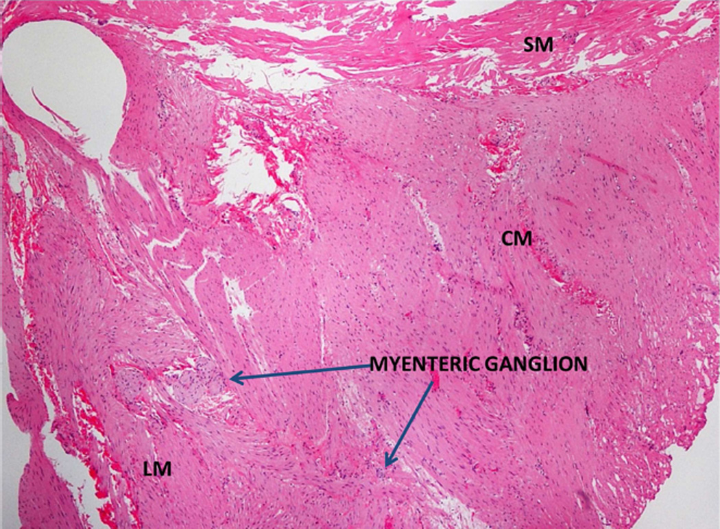 FIGURE 3