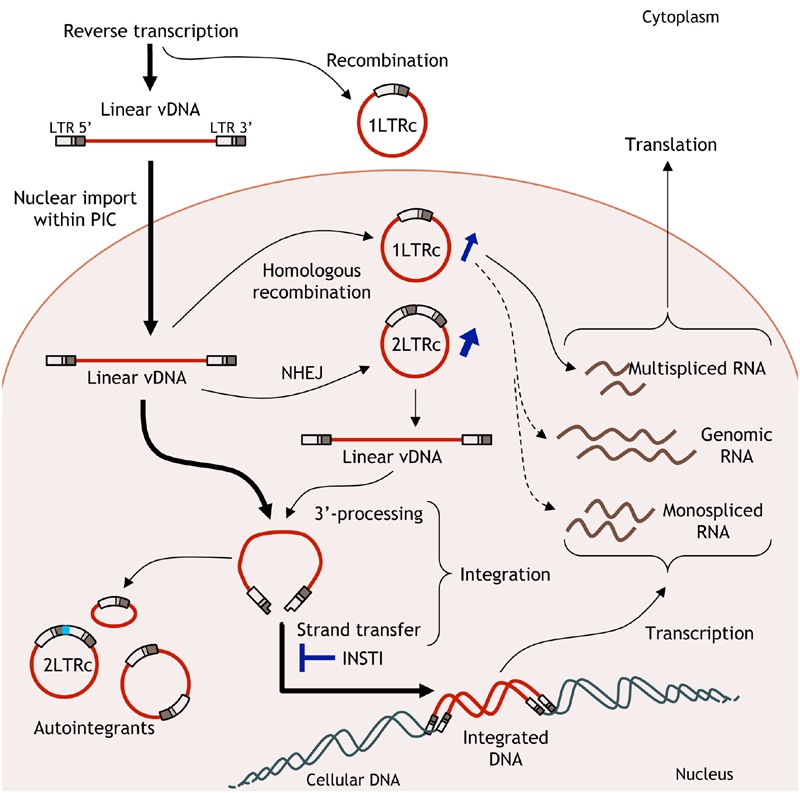 FIGURE 2