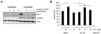 Figure 1—figure supplement 1.