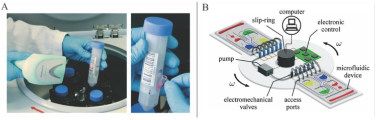 Figure 12