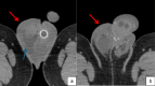 Fig. 6