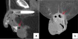 Fig. 8