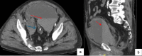 Fig. 7