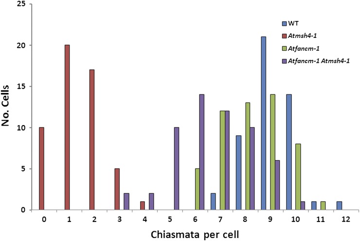 Figure 7.