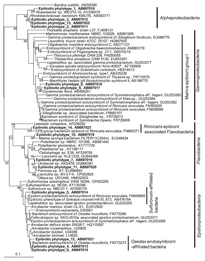 Fig. 6