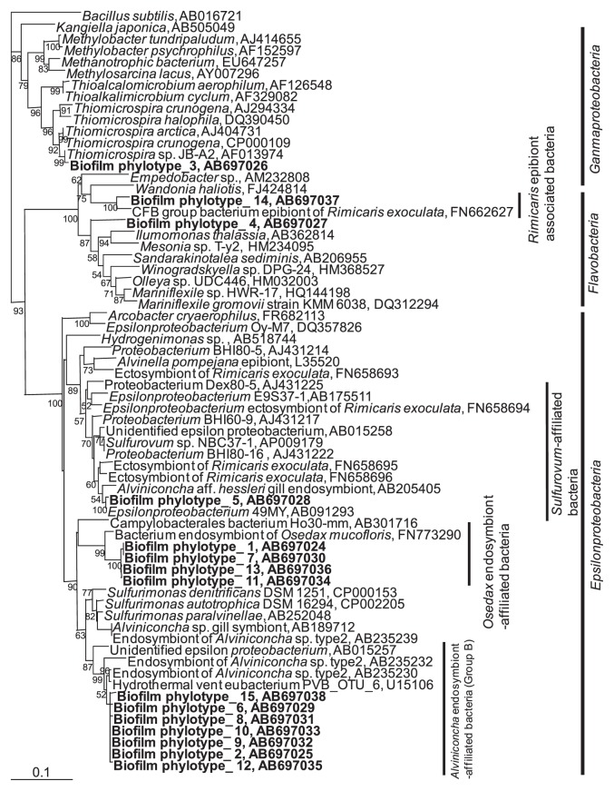 Fig. 7