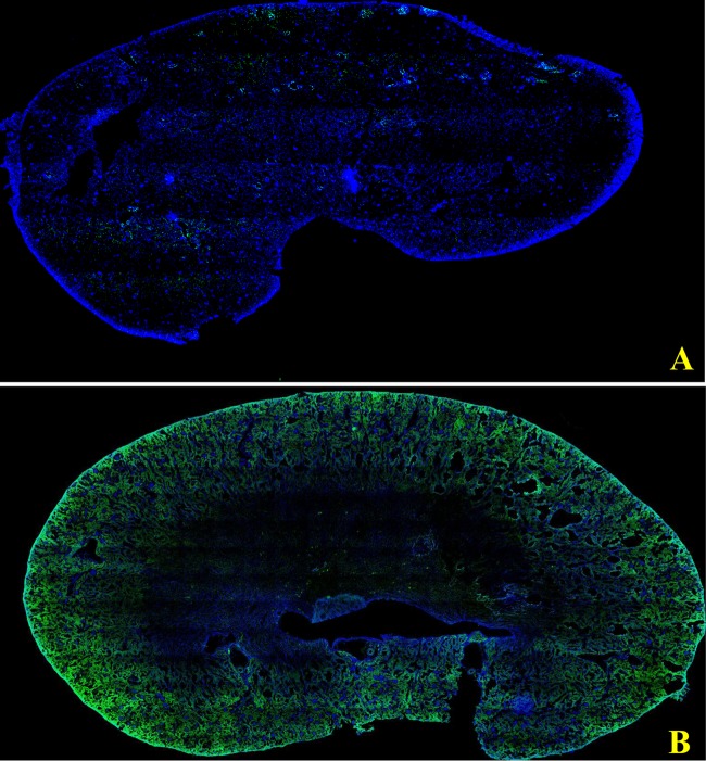 FIG 2