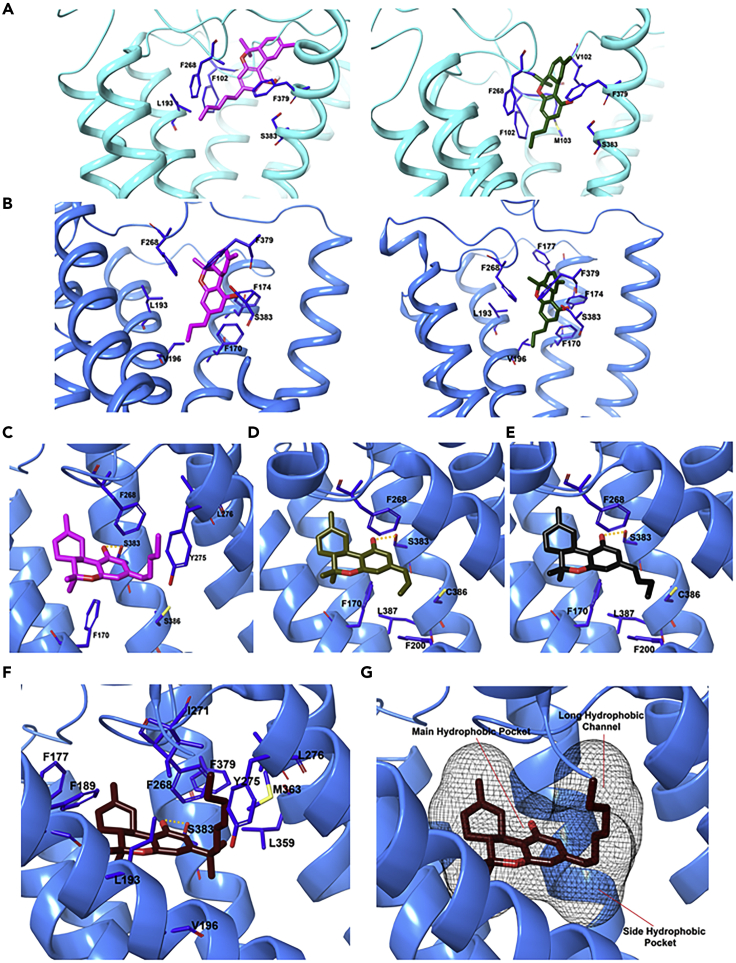 Figure 10