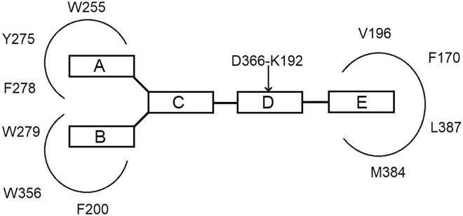 Figure 6