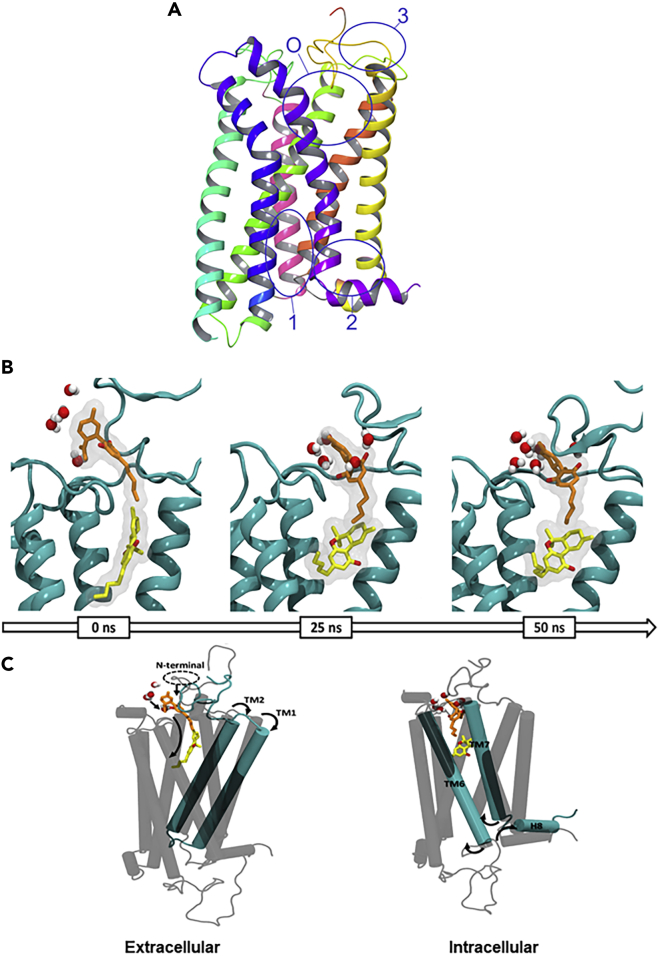 Figure 9