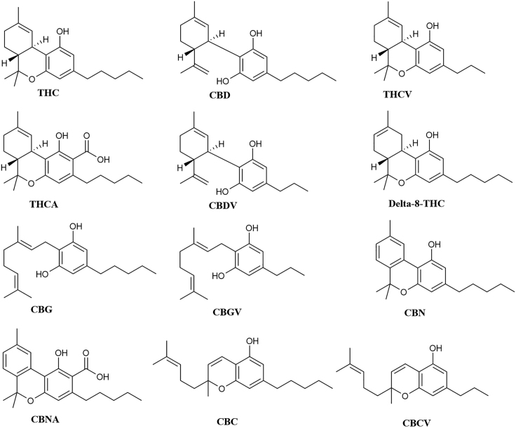 Figure 1