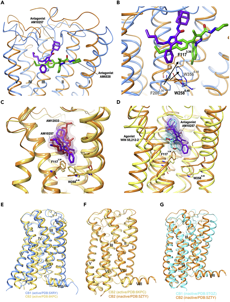 Figure 5