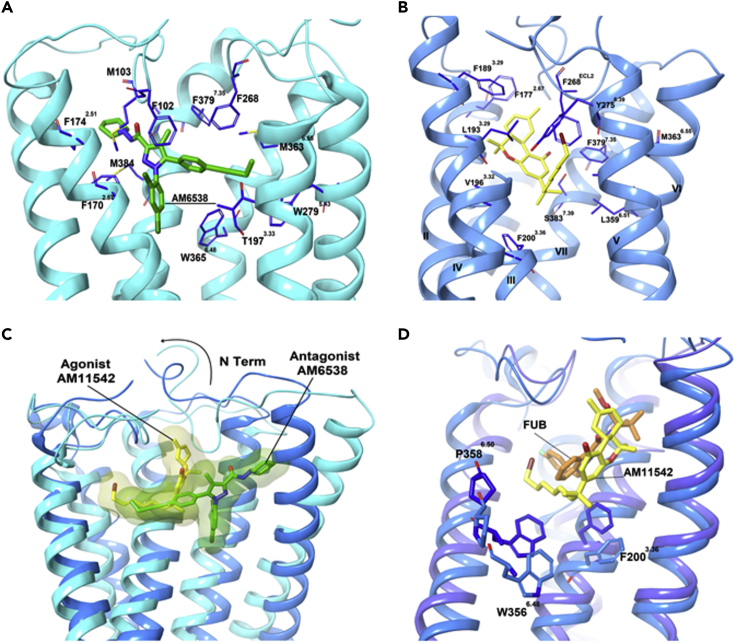 Figure 4