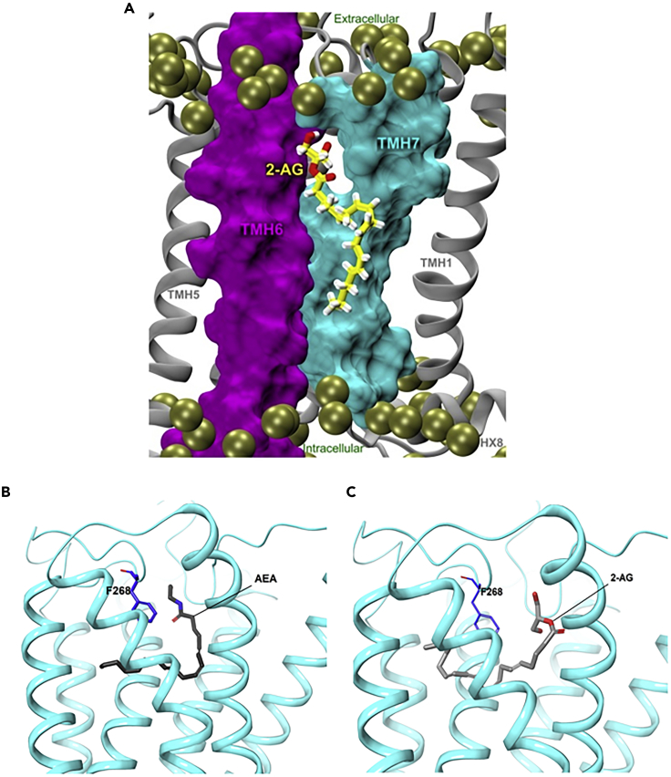 Figure 11