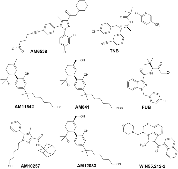 Figure 3