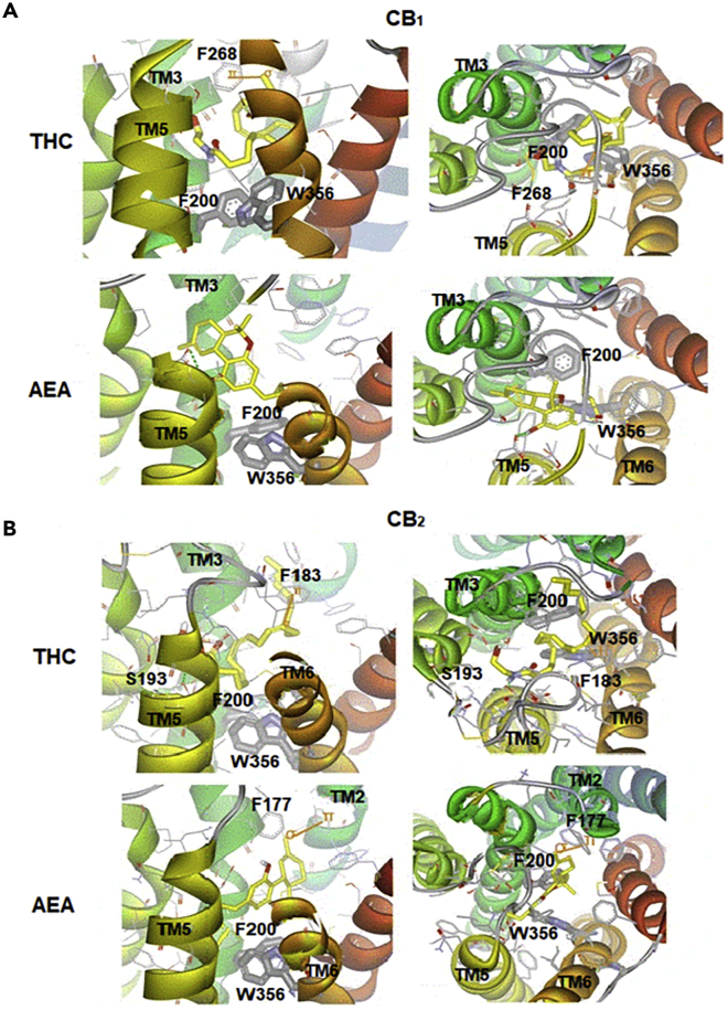 Figure 7