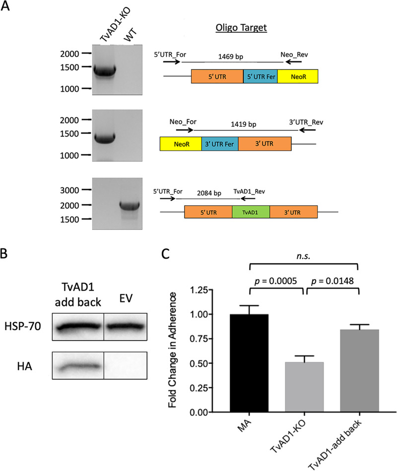 FIG 4