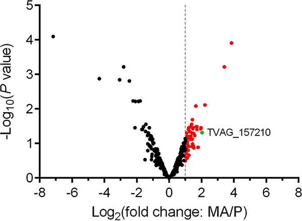 FIG 2