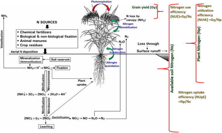 FIGURE 2