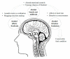Fig. (2)