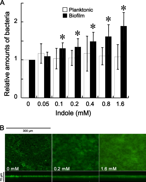 FIG. 6.