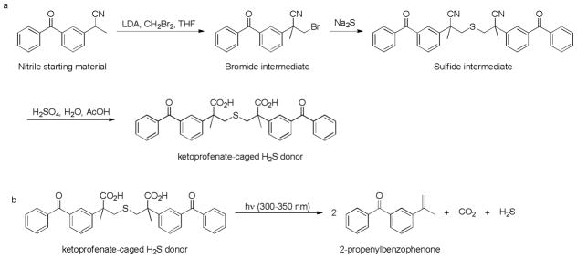 Scheme 22