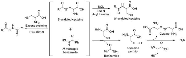 Scheme 12