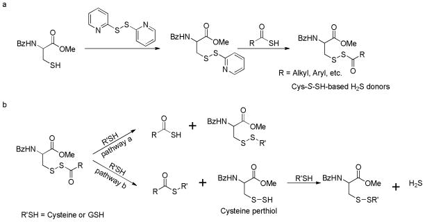 Scheme 14