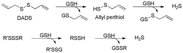 Scheme 5