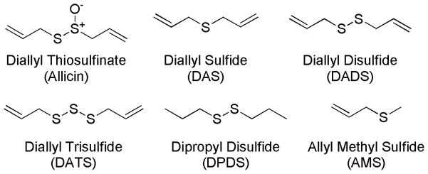 Scheme 4