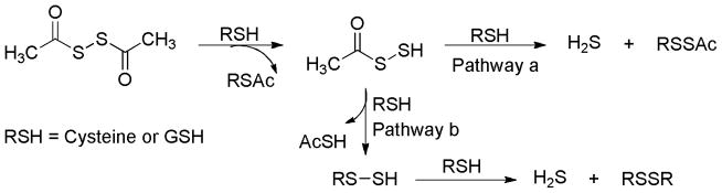 Scheme 18