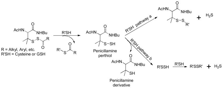 Scheme 16