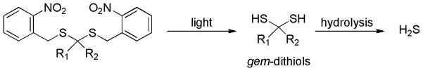 Scheme 20