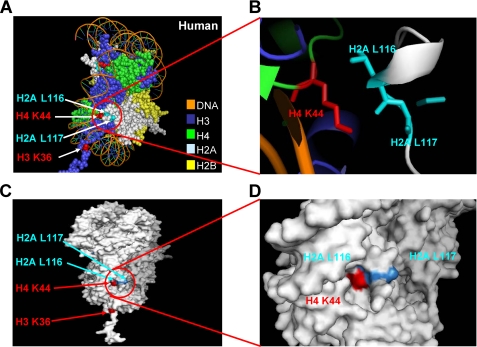 FIGURE 2.