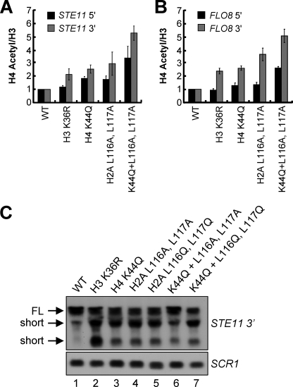 FIGURE 6.