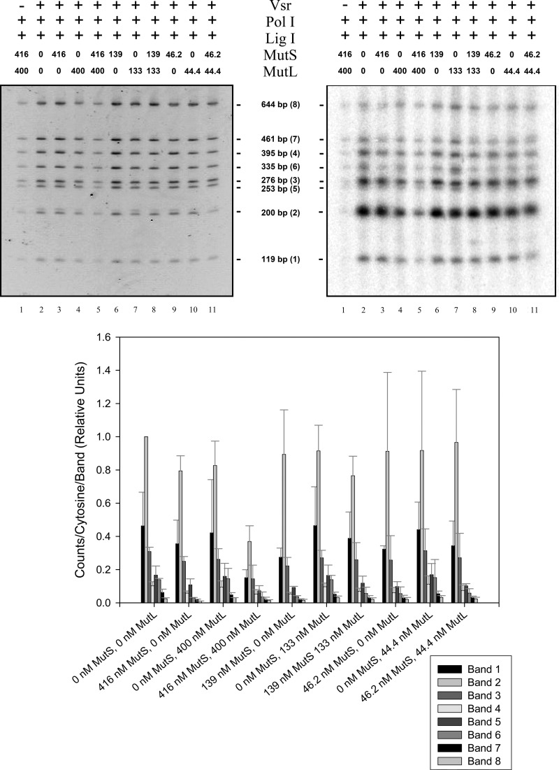 FIGURE 7.