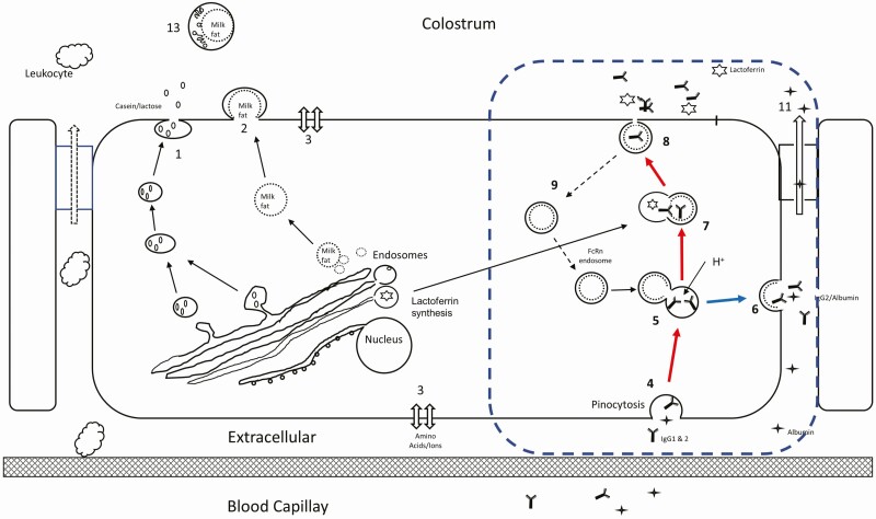 Figure 1.