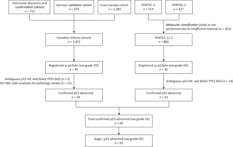 Figure 1. Flowchart of patient selection. Low-grade means grade 1–2.