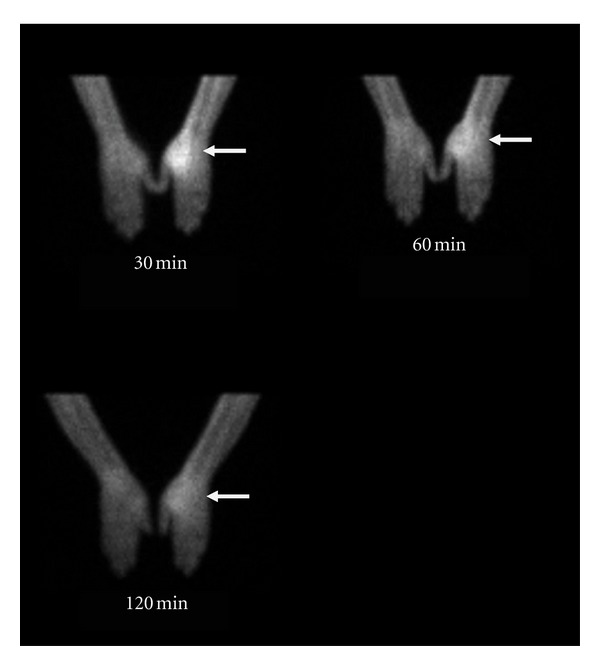 Figure 6