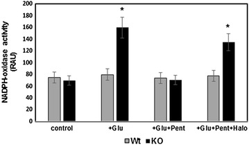 Fig. 2