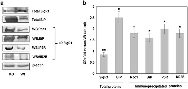 Fig. 1