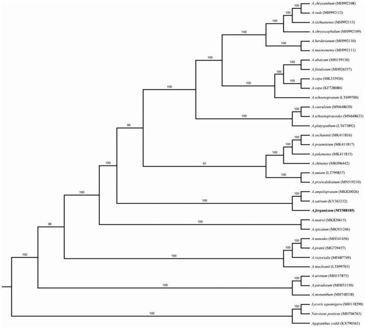 Figure 1.