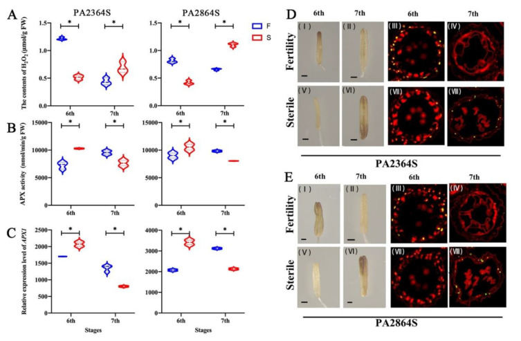 Figure 10