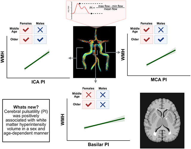 graphic file with name nihms-2082740-f0001.jpg