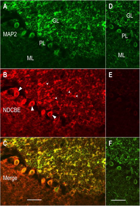 Fig. 11