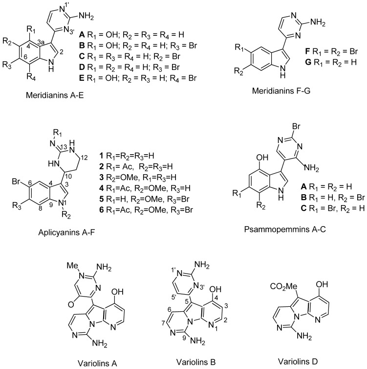 Figure 5