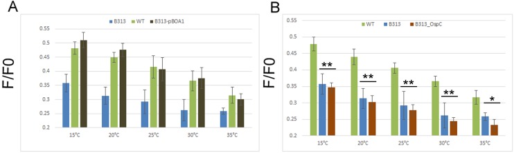 FIG 6 