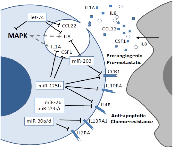 Fig 12