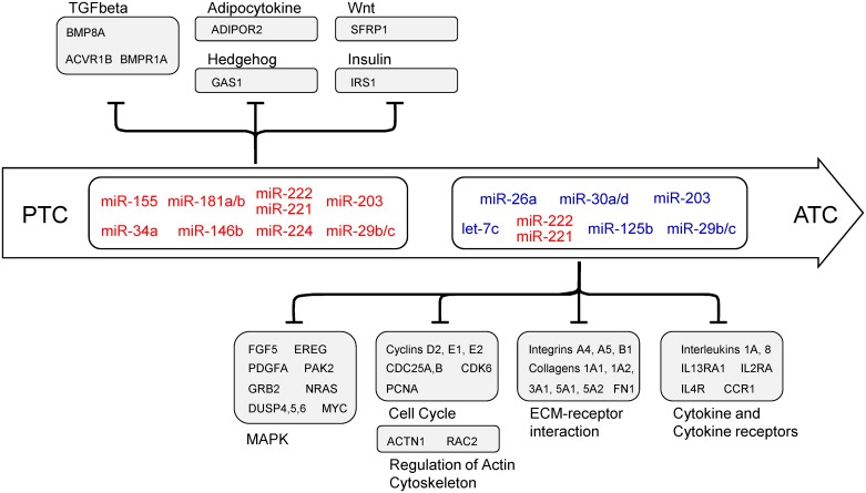 Fig 11